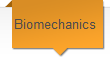 Biomechanics